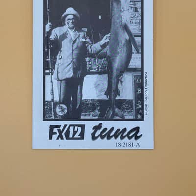 DOD Tuna FX12 1996 - 1998 - Blue image 5