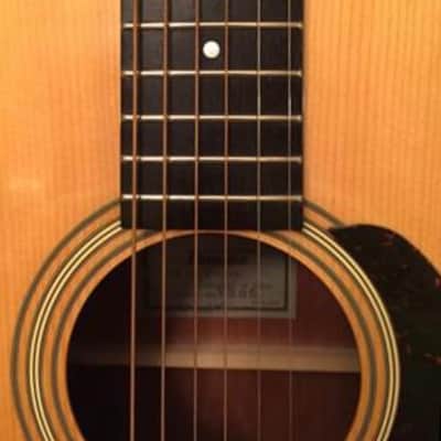 Ibanez V-300  1980 NAT image 9
