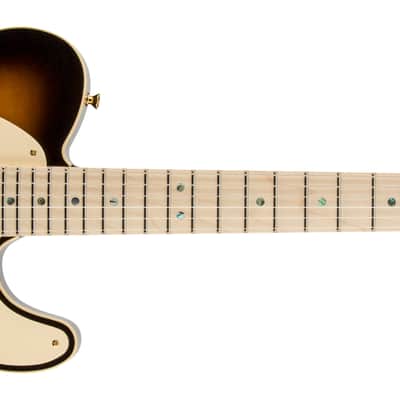 Fender Richie Kotzen Telecaster Maple FB Brown Sunburst image 1