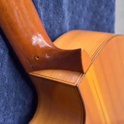 Carlos Pina Flamenco Blanca 198x-1995 - Lacquer w/cutaway image 7