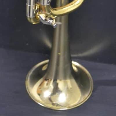 Trompeta Do y Sib Bach Stradivarius 239 CML Corporation en muy buen estado image 19
