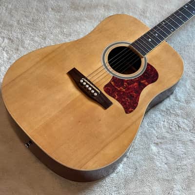 Talent by Gibson MA41NACH 2010s - Natural Dreadnought Acoustic Guitar image 2