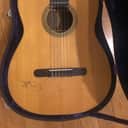 Martin N-20 1969 With Baldwin prismatone pickup and Baldwin c-1 amp