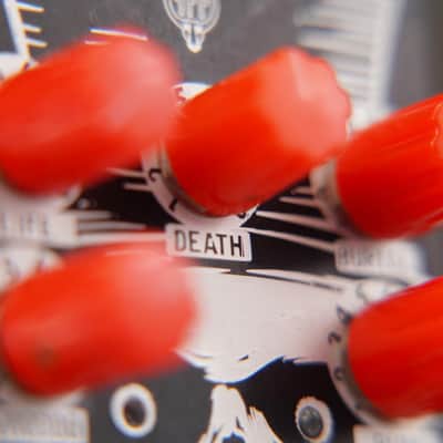 Animal Factory Baron Samedi Chaotic Fuzz Eurorack Module #58644 image 13