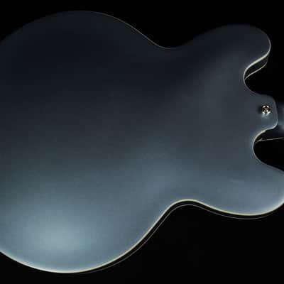 Epiphone Dave Grohl DG-335 (#621) image 6