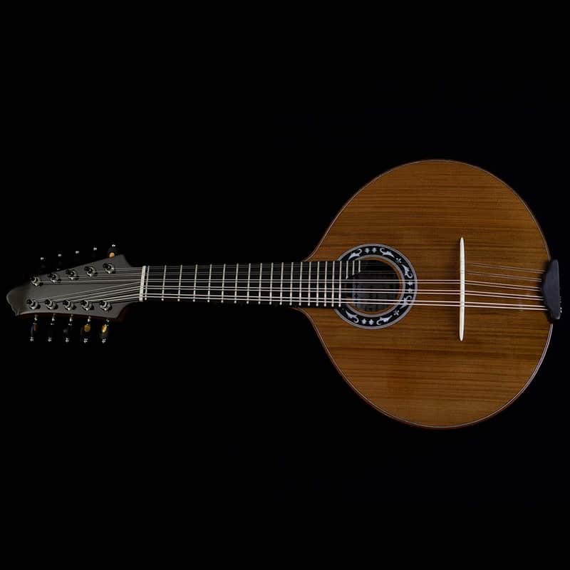 Junio Americo 10-String Mandolin | Brazil (with VS Tuners) image 1
