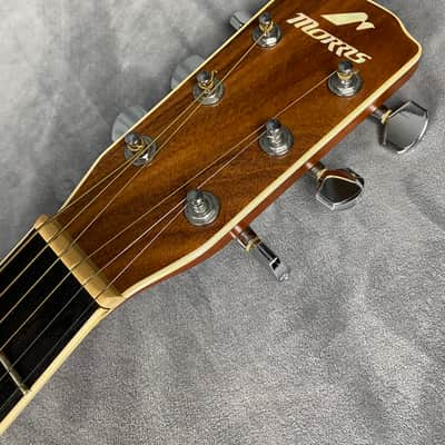 Morris  M-001SP Rare Model image 9