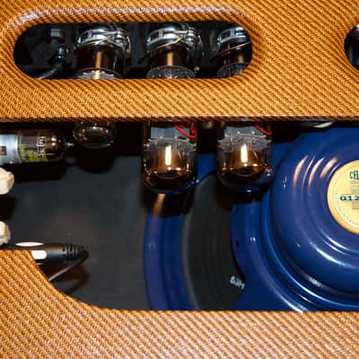 Lazy J 20 amp 2013 Lacquered Tweed image 15