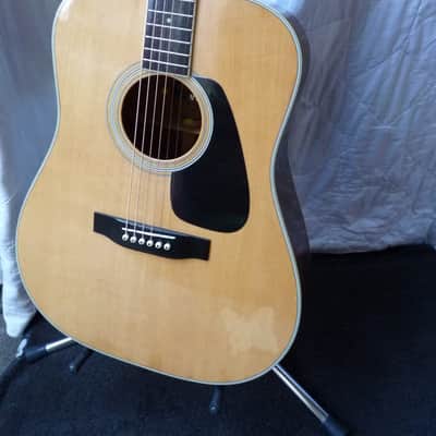 Morris MV-701 1982 Vanguard Series Acoustic | Reverb
