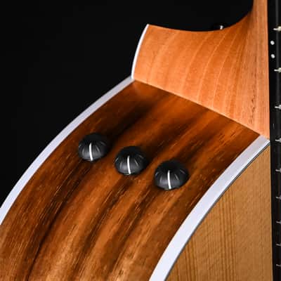 Taylor 214ce-K w/ Torrefied Spruce Top & Hawaiian Koa Back and Sides Acoustic-Electric Guitar 2026 (2201286429) image 8