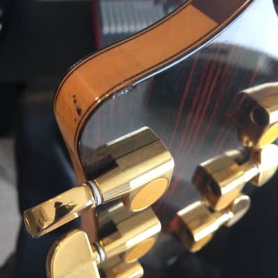 Alembic Jerry Garcia Tribute Guitar 2002 CocoBolo - Video Demo image 15