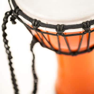 Meinl Junior Djembe JRD-O image 3