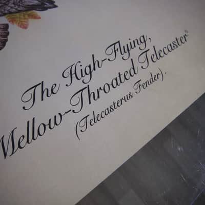 Fender Telecaster & Twin Reverb Authentic Vintage Poster "The High-Flying Mellow-Throated Telecaster" with Version B Bonus Poster Artist Endicott Circa-1976-Multi Color image 17