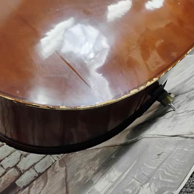Palatino 3/4 Upright Bass image 12