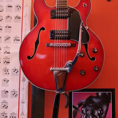 Epiphone 5102T 1970 redburst image 1