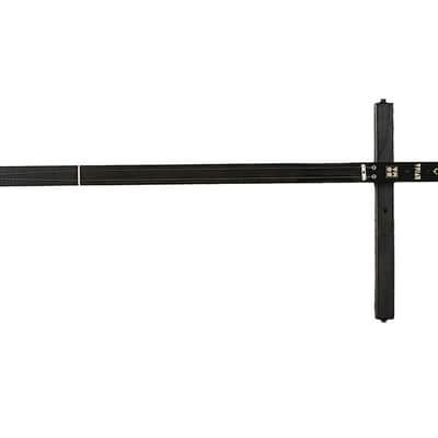 SOMA Laboratory DVINA Electro-Acoustic Stringed Instrument [DEMO] image 1