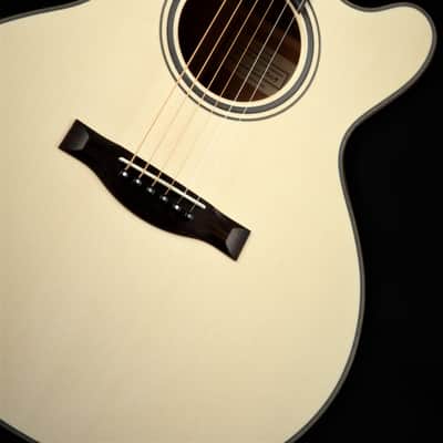 ON HOLD - Santa Cruz FS (Fingerstyle) MC Custom image 11