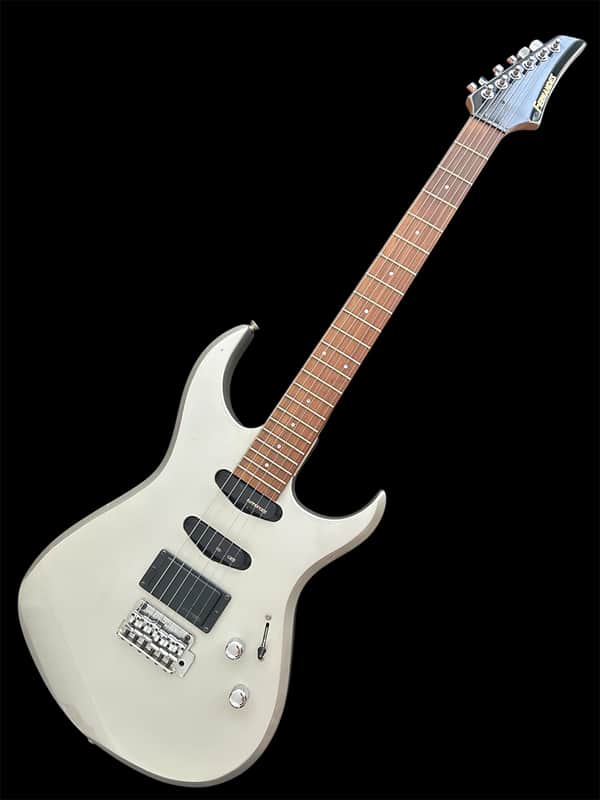 Fernandes FGZ- 1C 90’s - Silver image 1
