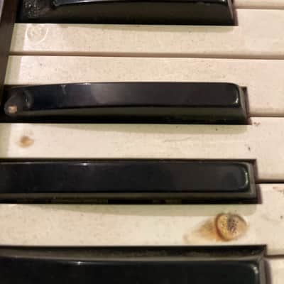 Korg Micro Preset M-500 1977 - Wood image 4