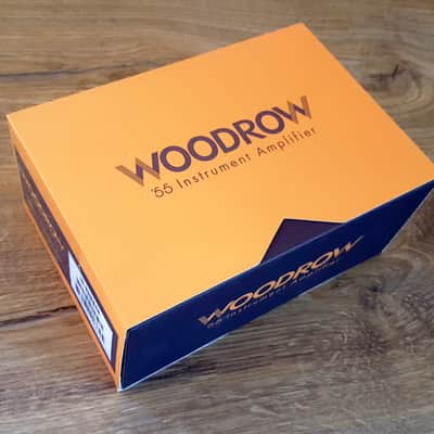 Universal Audio Woodrow ’55 Instrument Amplifier 2022 - Present - Copper / Silver image 13