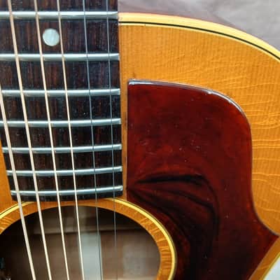 Gibson B-25 1966 - Natural image 15