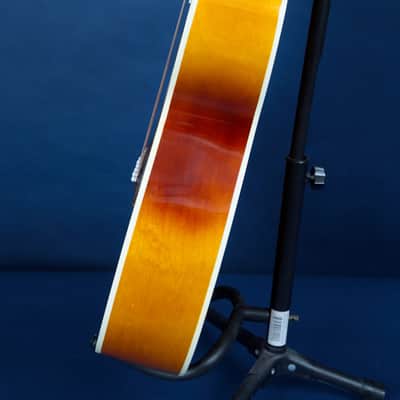 Harmony H167 / 1969 / Relive that Endless Summer image 19