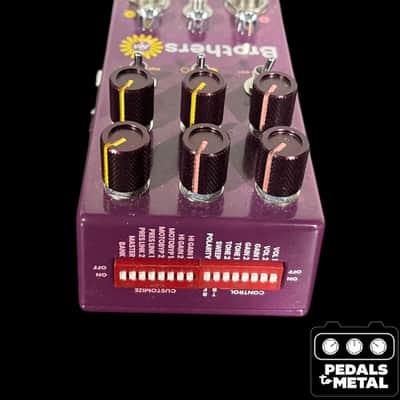 Chase Bliss Audio Brothers AM 2025 - Present - Various - X16521 image 5