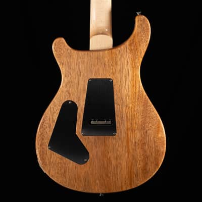 PRS Custom 24 Floyd - Black image 4