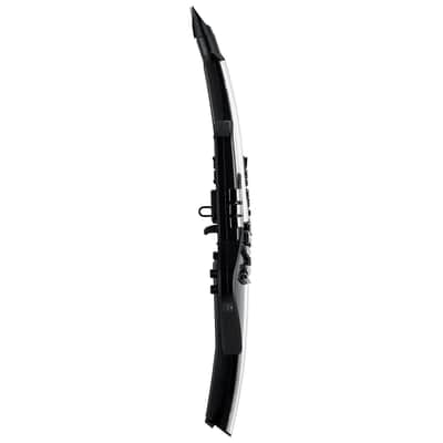 Roland Aerophone Pro AE-30 Digital Wind Instrument image 4