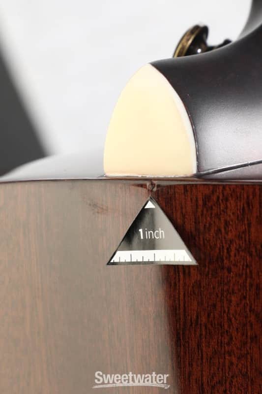 D'Angelico Premier Grateful Dead Tammany OM Acoustic-electric | Reverb