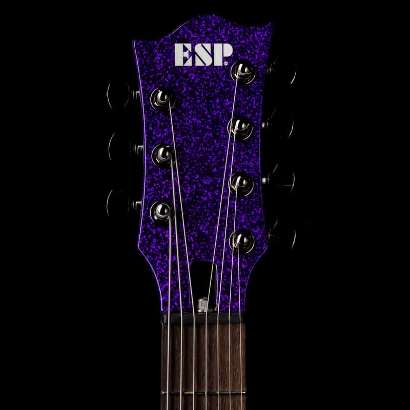 ESP Custom Shop Viper 7-String Baritone Dir En Grey Kaoru