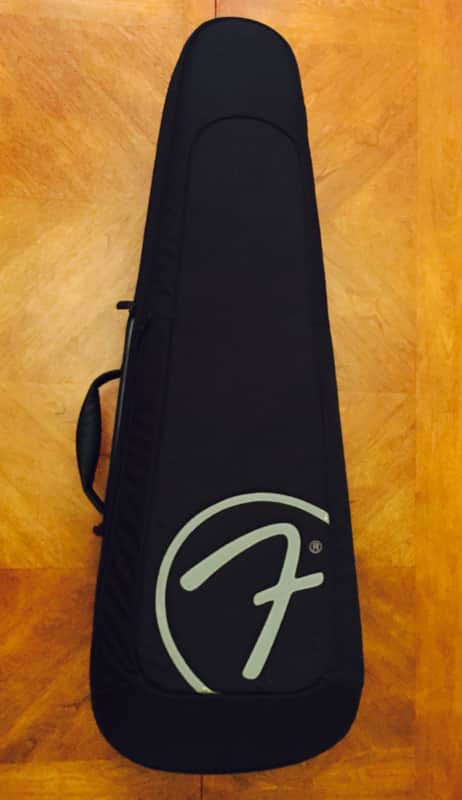 Fender John Mayer InCase In Case Bag Ultimate Padded Gig bag / travel hiking backpack Gigbag Black image 1
