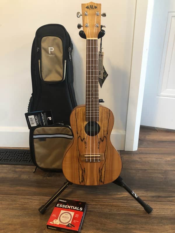 Kala KA-SMC - Spalted Maple image 1
