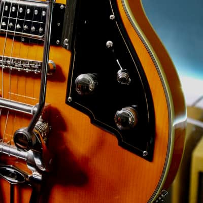Duesenberg Star Player TV Honey 2018 image 12