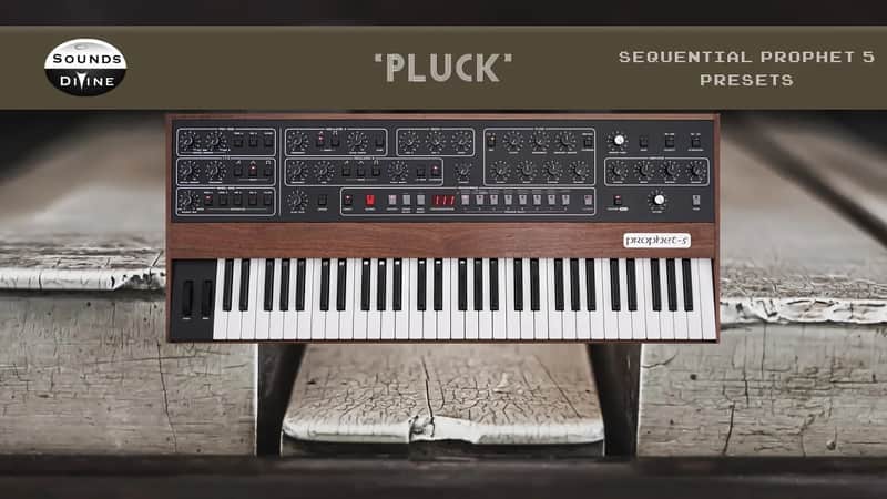 SoundsDivine 'Pluck' - Sequential Prophet 5/10 Rev.4 Presets image 1