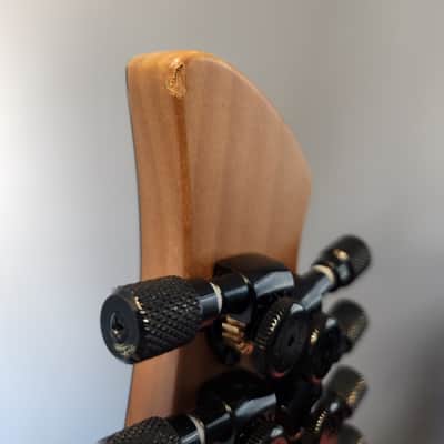 Abasi Guitars Master Series Larada 8 2025 - Night Garden image 3