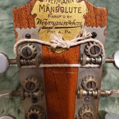 1920's Weymann Mandolute image 10