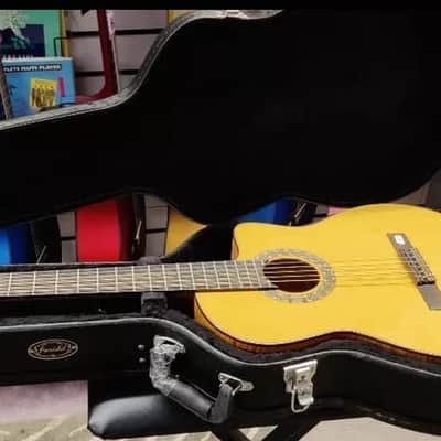 Farida Deluxe Classical - Acoustic - Dreadnought Guitar Hard Wood Case in Black image 3