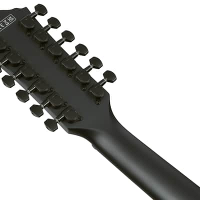 Ibanez AEG1221-BOT image 6