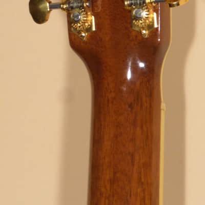 1999 Roy Noble Coco Bolo Dreadnought #315 image 7