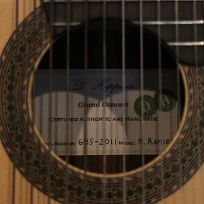 Darren Hippner 11 string Concert Classical 2011 image 8