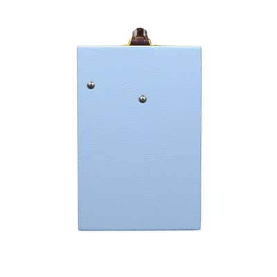 Magnatone Starlite 1x8 Combo w/ Reverb - Custom Color Carolina Blue image 7