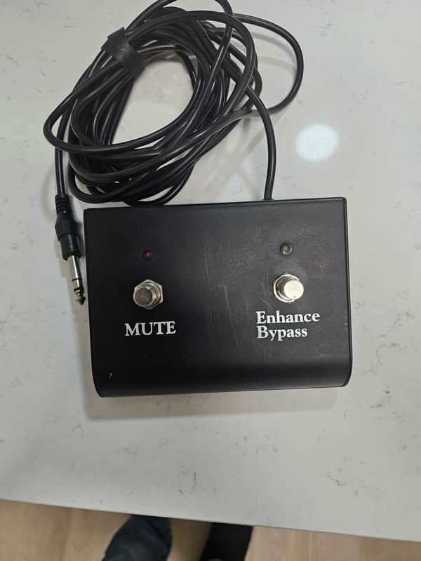 Eden 2-button foot switch (MUTE/Bypass Enhance) footswitch image 1