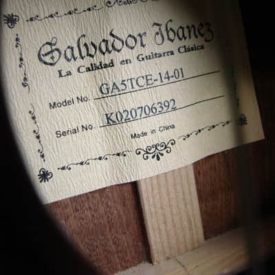 Salvador Ibanez GA5TCE-14-01 Thinline Classical Acoustic/Electric Guitar image 8