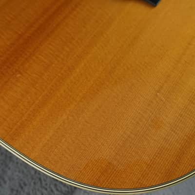Morris MV-702 1980s - Natural MIJ Acoustic image 7