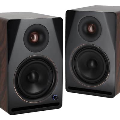 Se Electronics RN17 Recording Studio Microphone w/Changeable Capsule+Monitors image 4