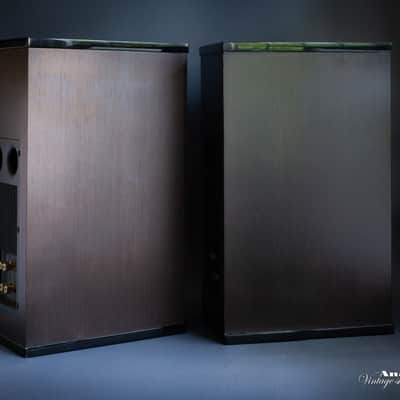 Platinium Duo image 6