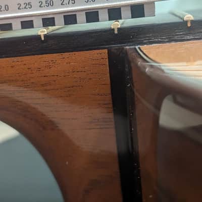 Steve Allen Solid Granadillo and Cedar classical guitar image 13