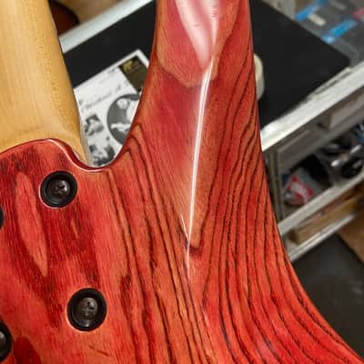 Washburn XB-900 - Red image 13