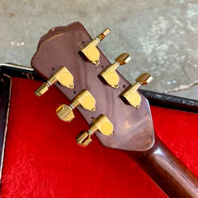 Vesta Graham VG-2450 VGC-1000 1979 - Rosewood original vintage MIJ Japan shiino ESP es-335 image 4
